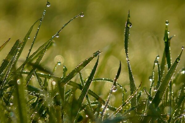 Beautiful rain falling landscape