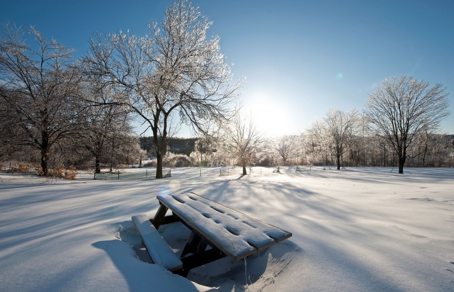 winter snow cold frost ice frozen tree landscape road weather nature wood frosty outdoors snowstorm dawn