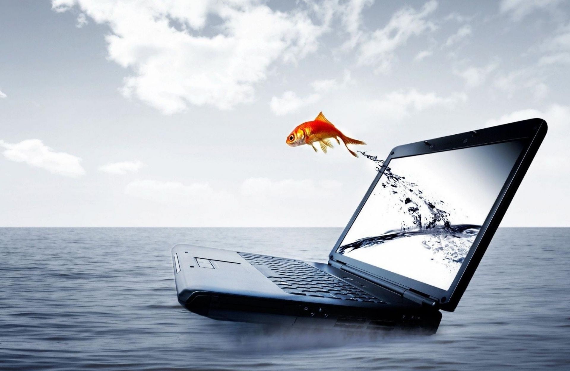 personal computers water sea ocean sky travel technology vehicle seashore