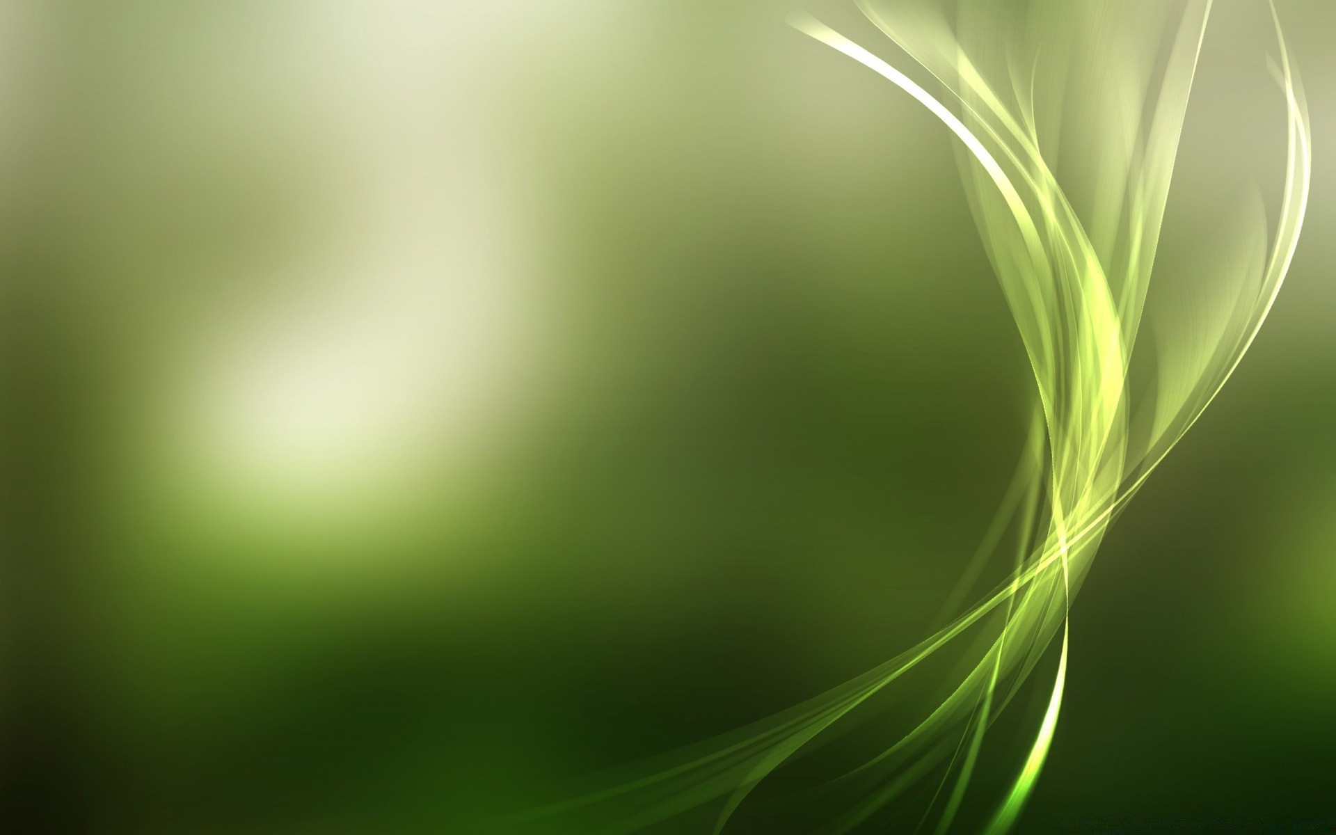 bright colors blur abstract leaf bright nature graphic design wallpaper grass growth art