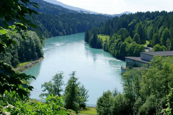 A mountain river framed by a forest