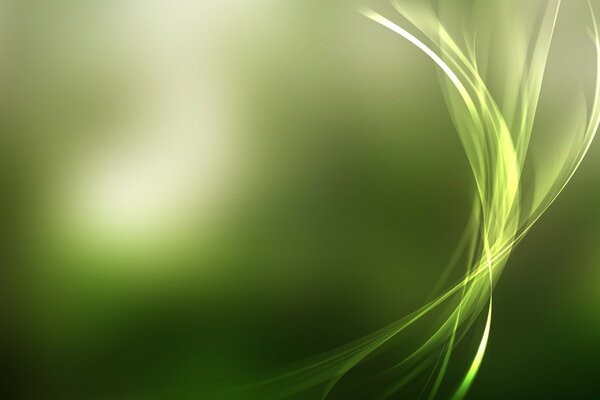 Windows desktop screensaver