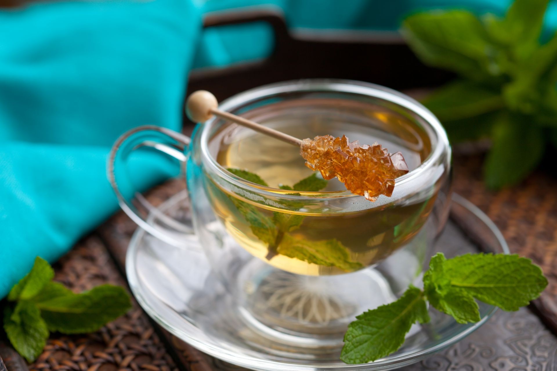 tea leaf mint herb food glass bowl hot drink