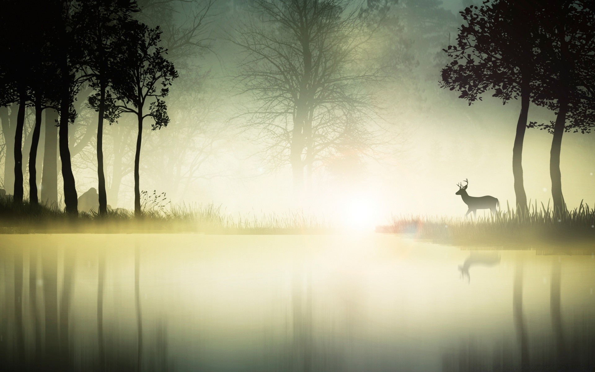vector art dawn fog mist lake water landscape reflection tree sunset silhouette backlit river nature sun wood