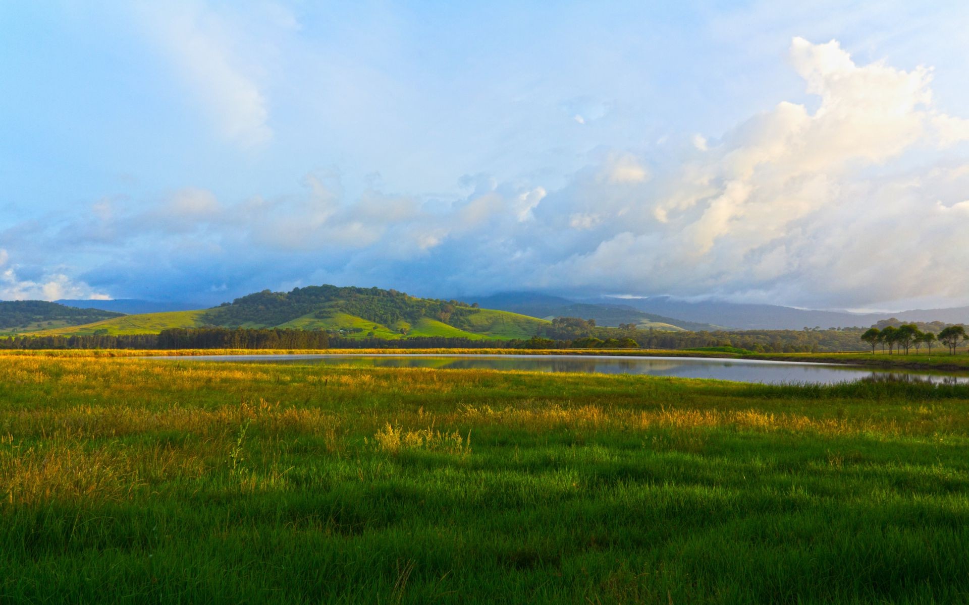 grass landscape nature sky field summer rural outdoors agriculture countryside pasture sun hayfield farm fair weather