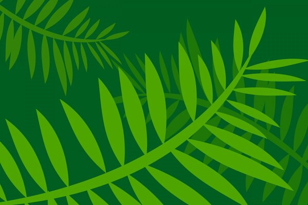 Green leaves on a dark green background, vector graphics