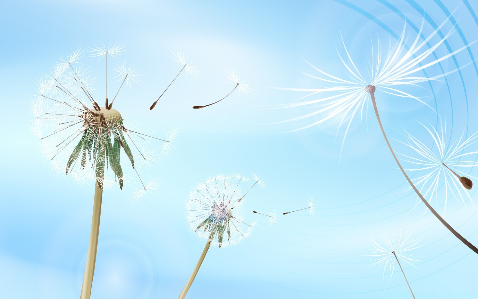 vector art dandelion sky wind summer nature