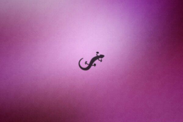 The silhouette of a salamander. Pink background. The shadow of a salamander. Graphics