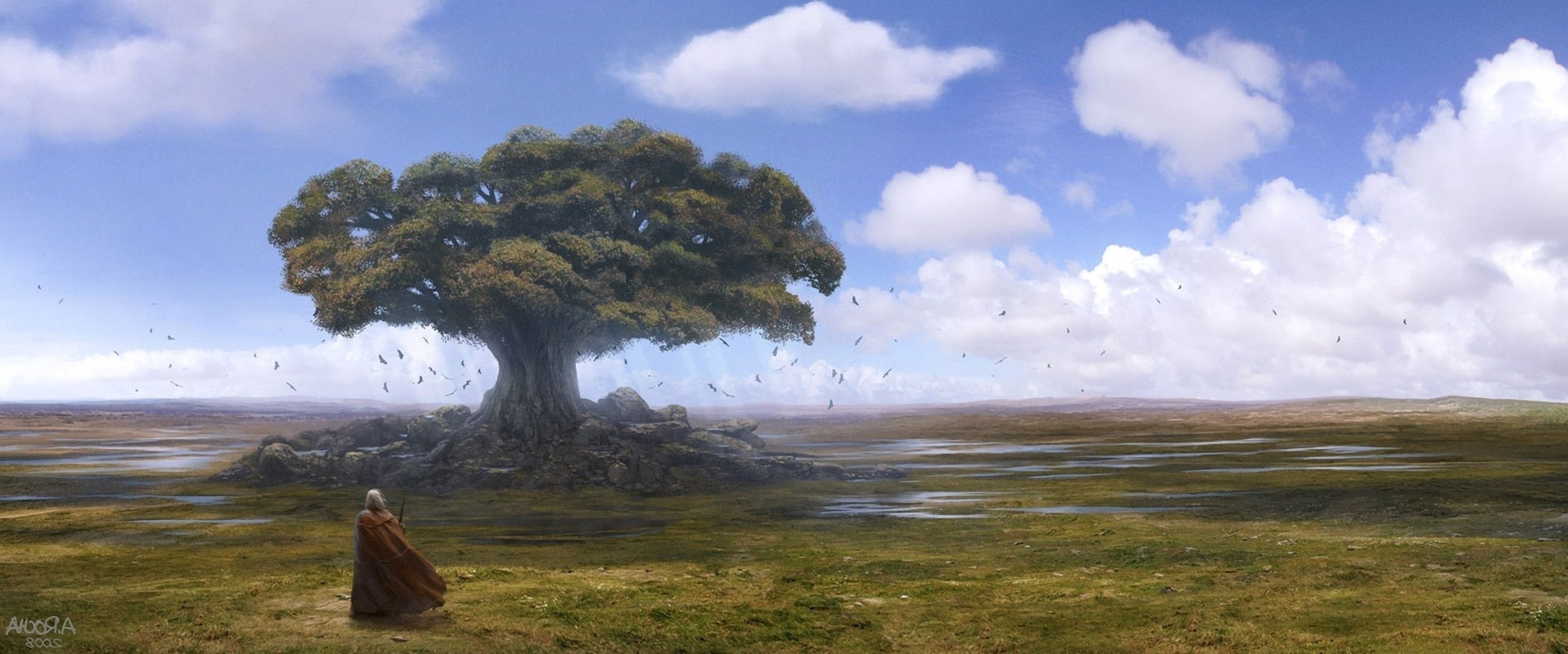 war landscape tree water travel outdoors sky grass nature sunset dawn fog daylight lake