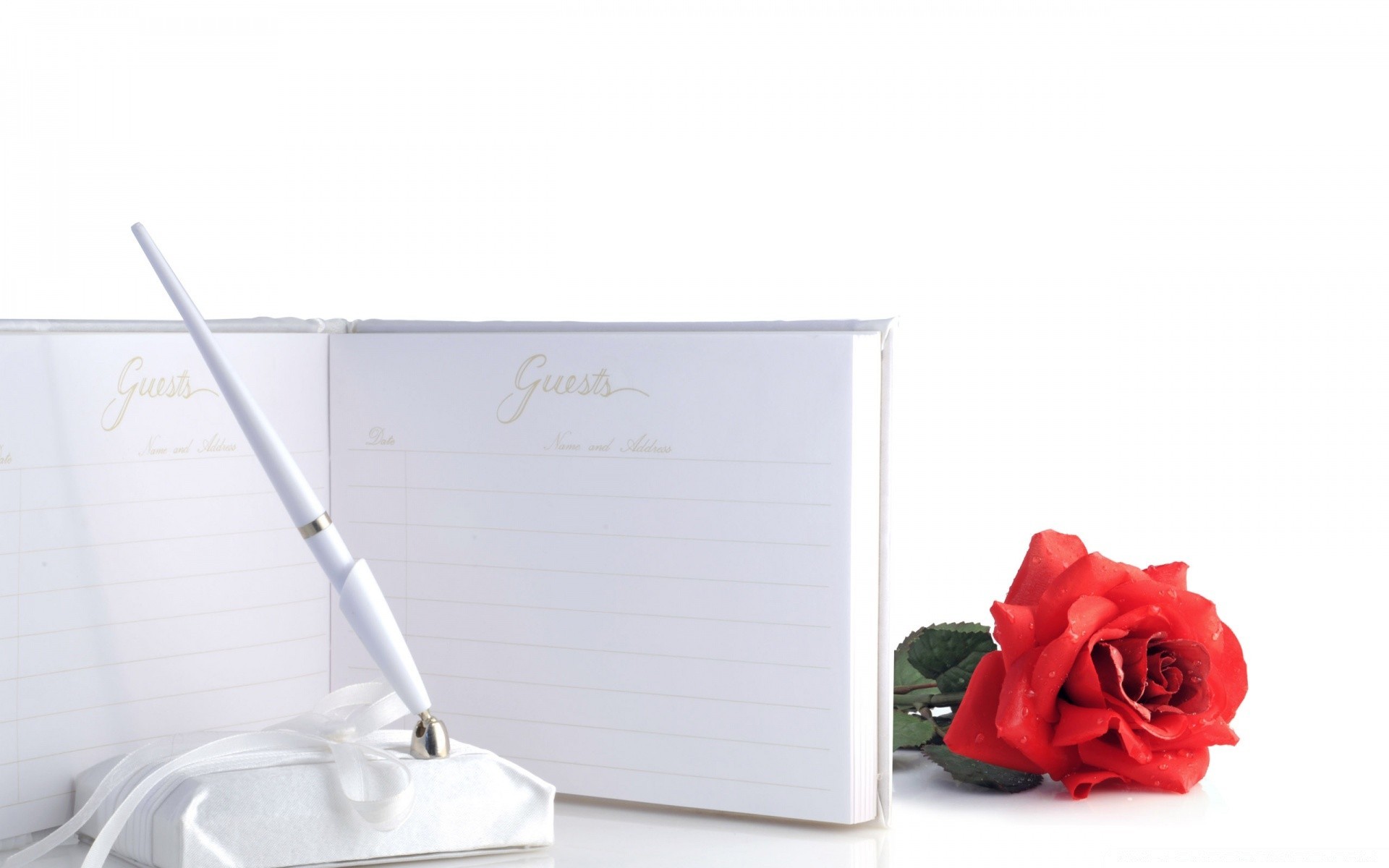 white paper isolated writing empty