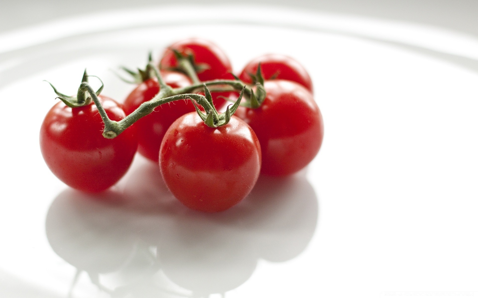 white food tomato delicious vegetable healthy juicy grow nutrition health cherry cooking diet tasty fruit freshness agriculture leaf