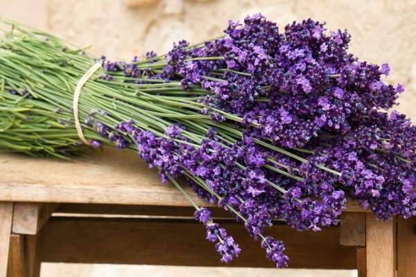 Lavender mountain lavender of our meetings with you
