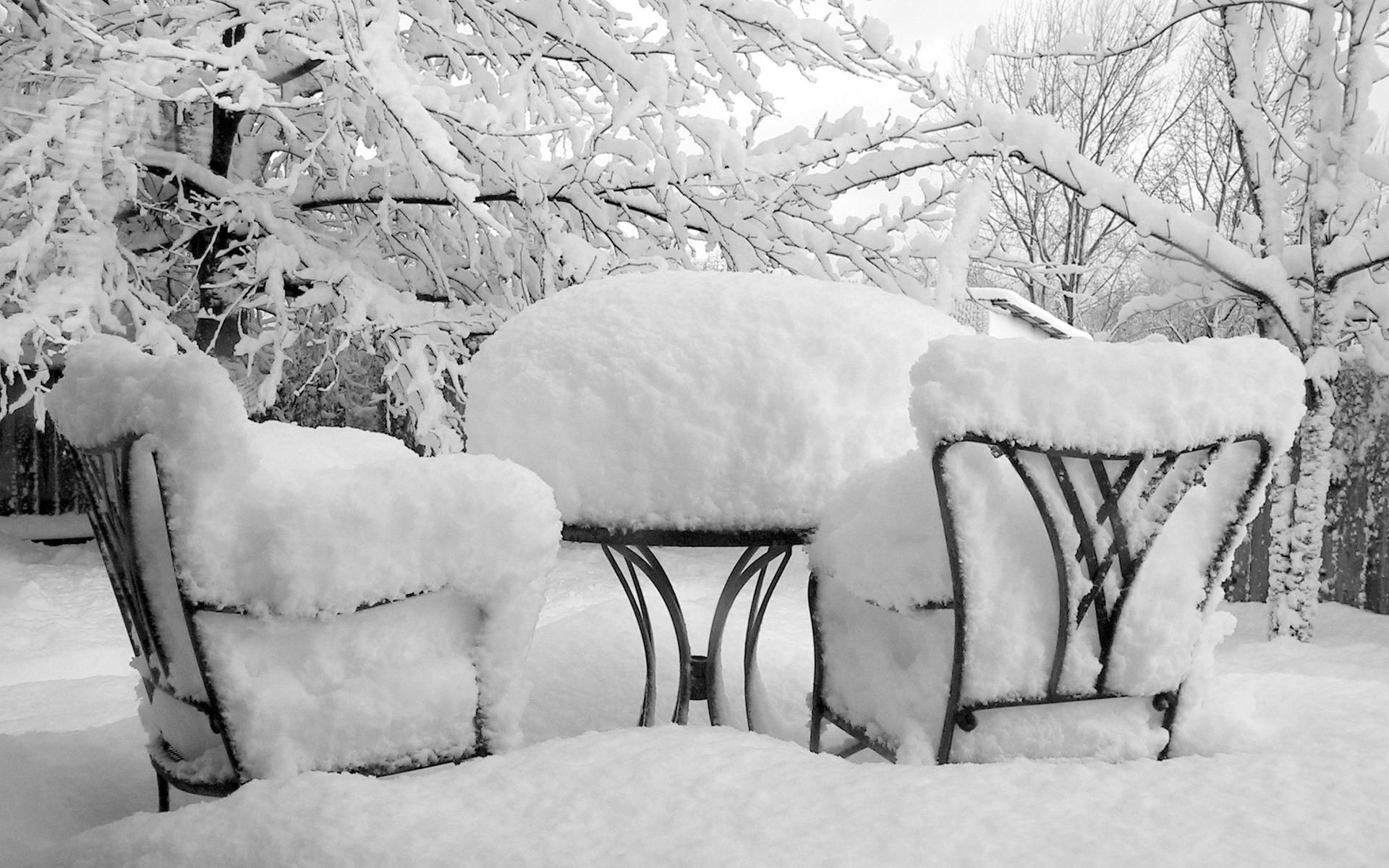 winter snow frost cold frozen snowstorm ice tree season wood weather snow-white frosty outdoors nature christmas furniture