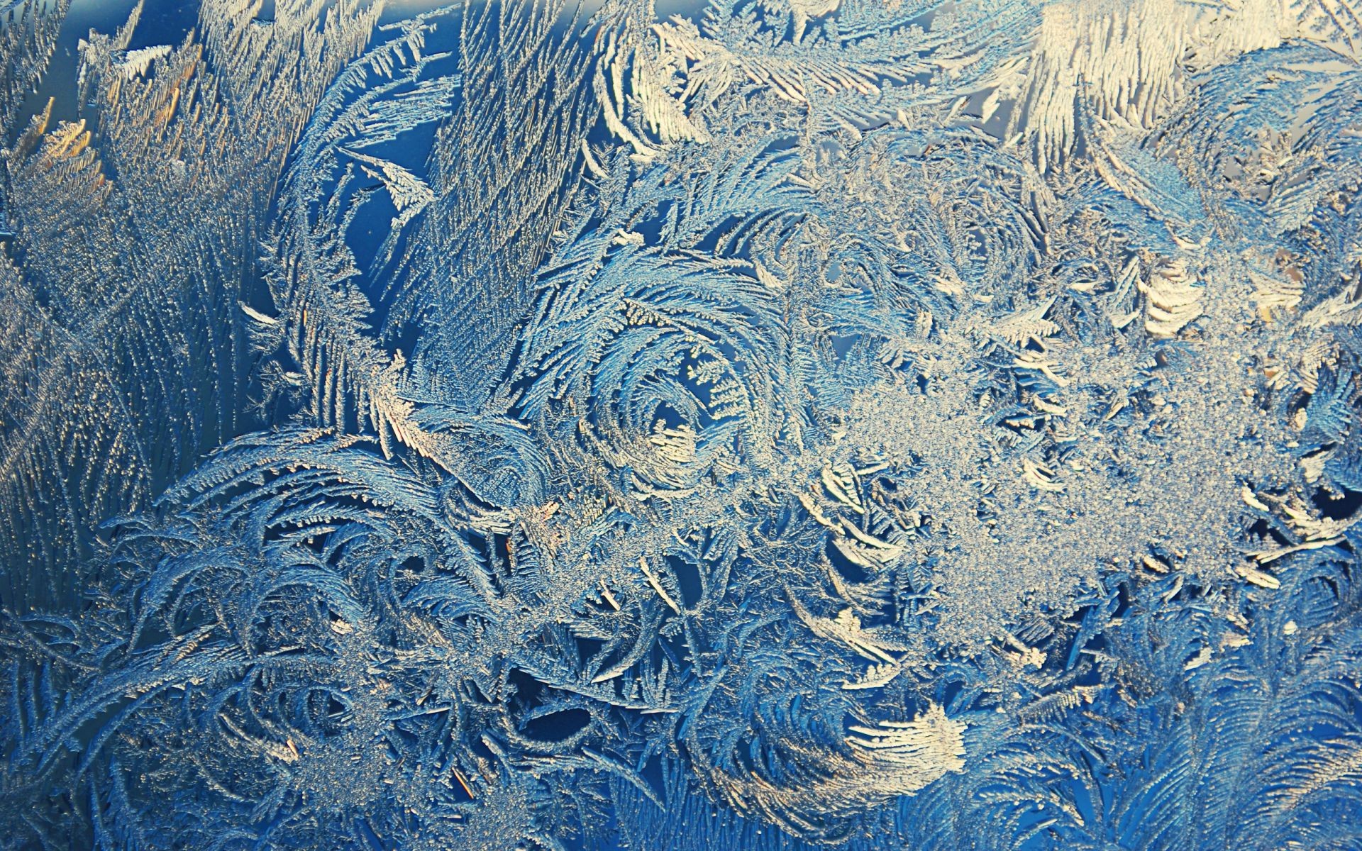 glass frost cold nature snow ice winter icy desktop frosty pattern frozen abstract texture color crystal