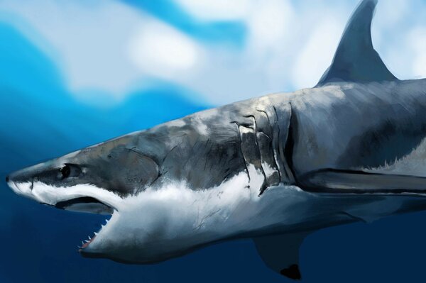 Scary shark with big teeth