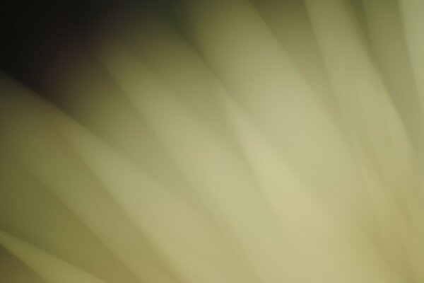 Blurred light background with rays