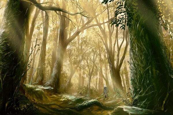 Mysterious mystical autumn forest