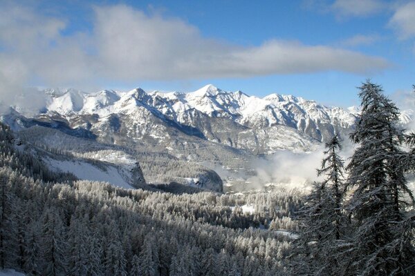 Snowy mountains and winter forest