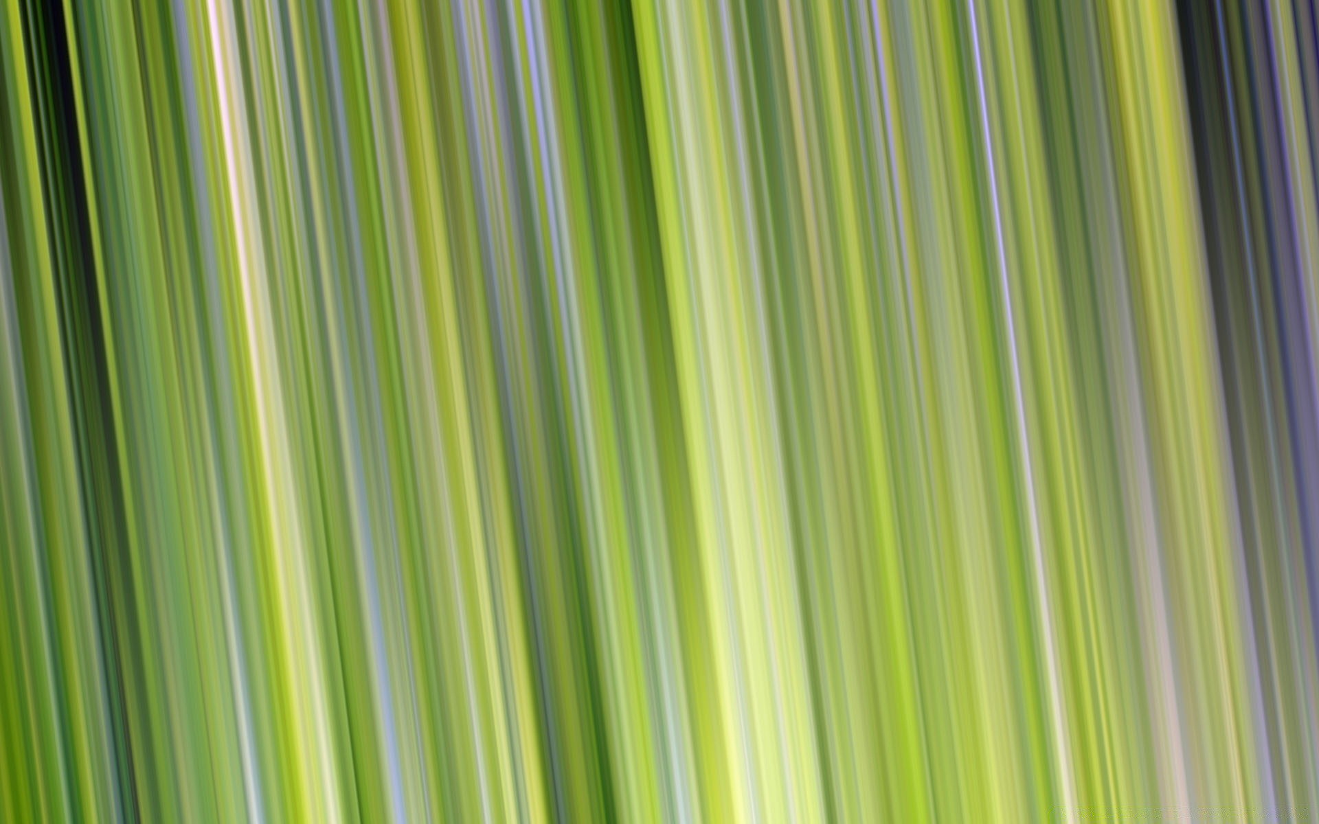bright colors abstract desktop texture wallpaper pattern art design background linear leaf artistic color graphic line style illustration flora decoration fabric
