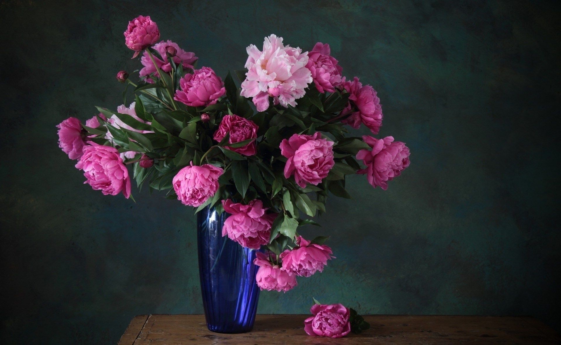 in a vase or pot flower bouquet rose leaf floral petal flora peony flower arrangement nature blooming decoration vase color