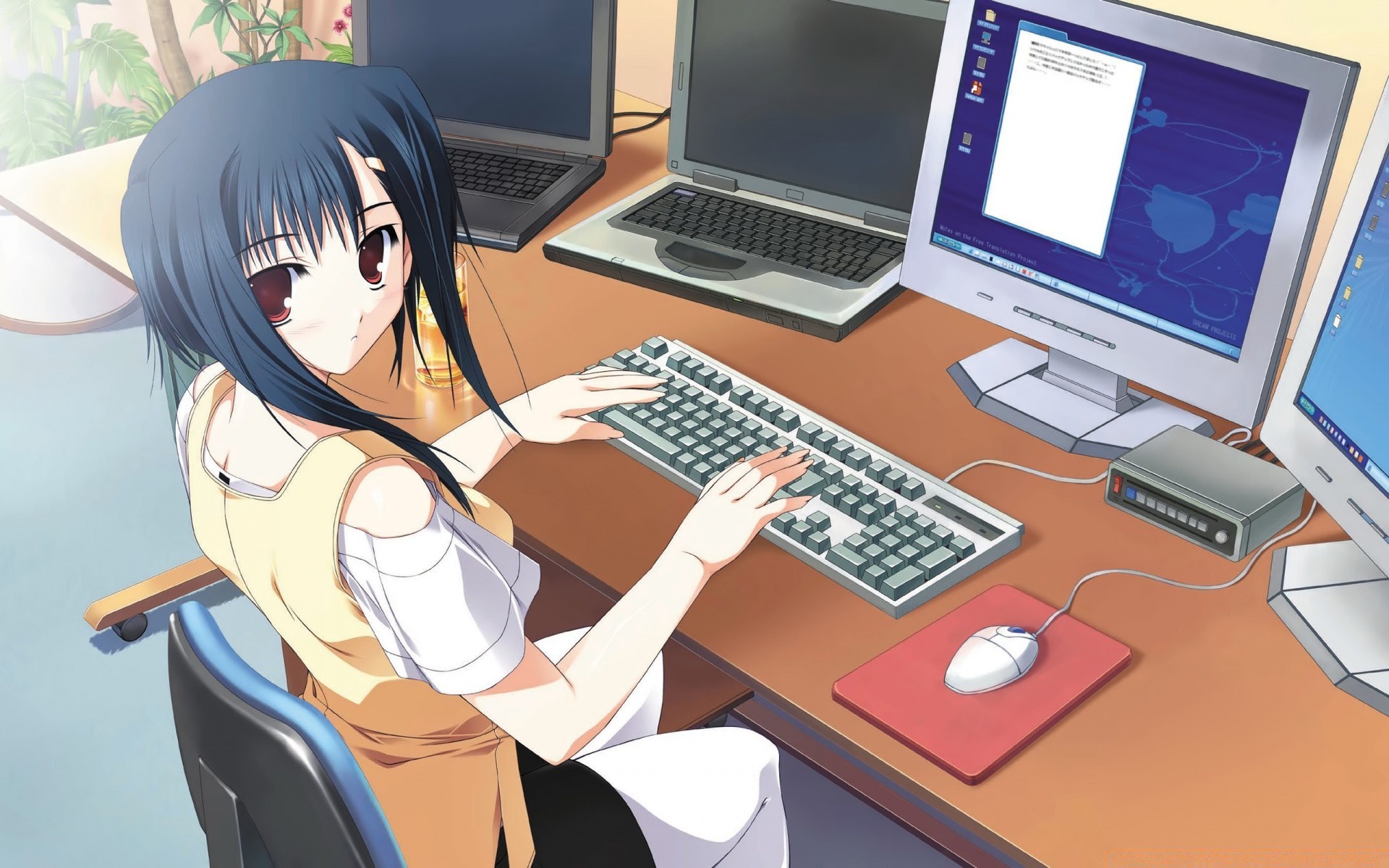 anime computer technology laptop screen office business internet monitor telephone indoors adult desk