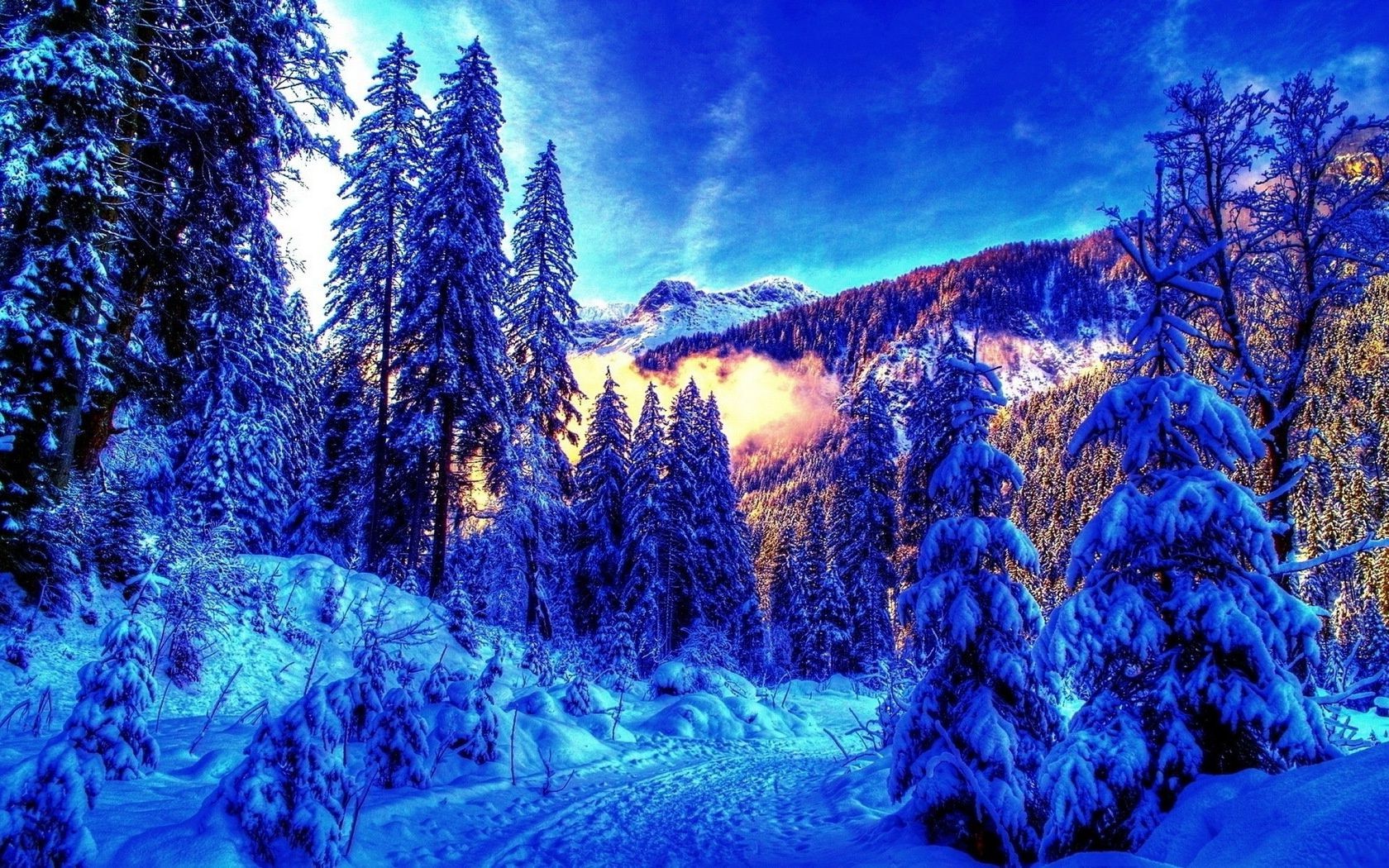 winter snow wood nature tree cold landscape scenic season mountain frost ice sky