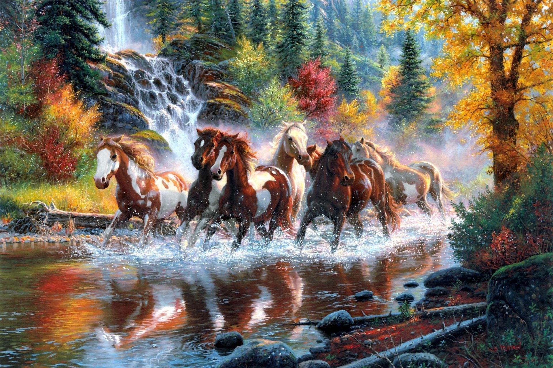 horses mammal nature outdoors water fall cavalry tree motion wood wild