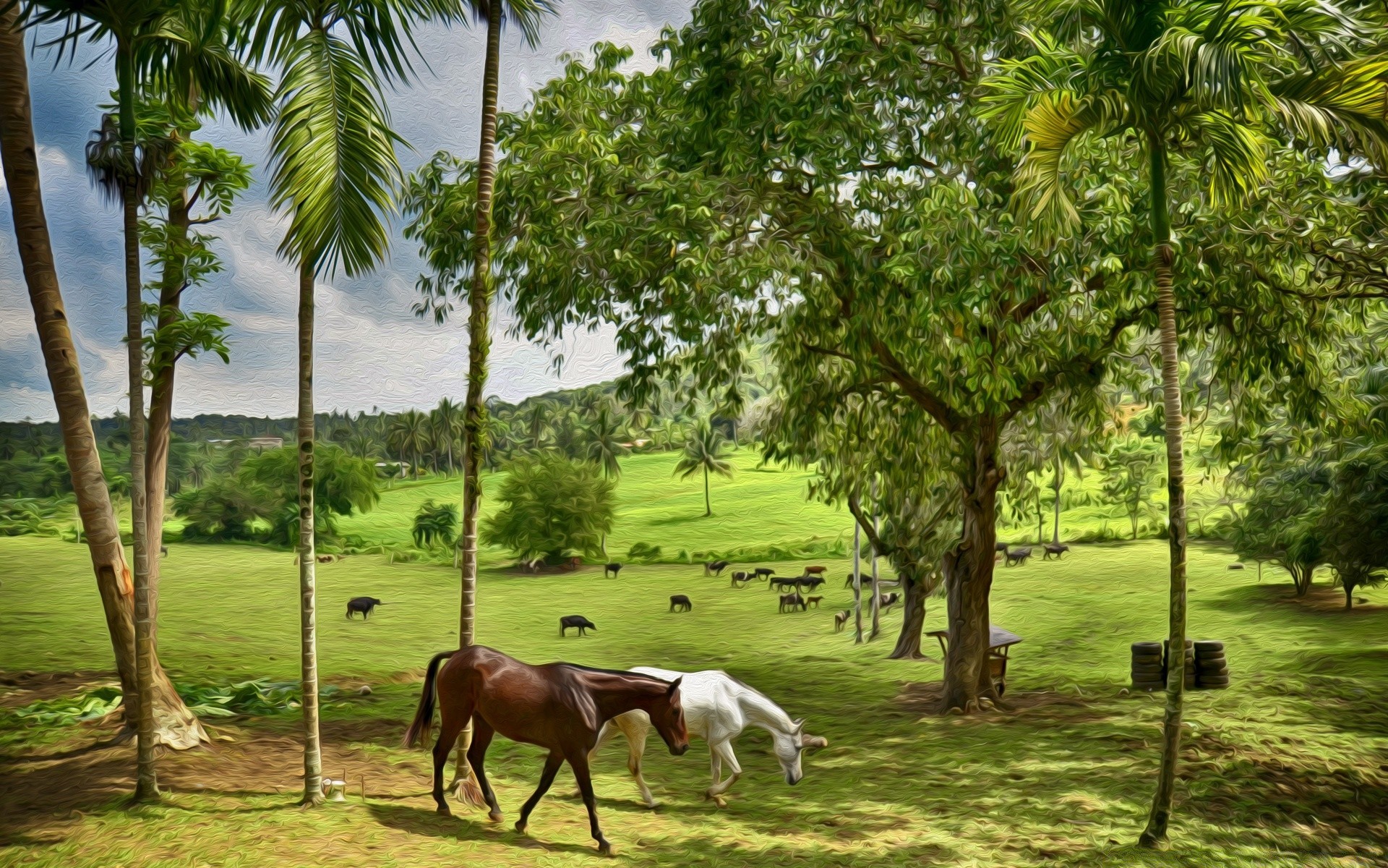 drawings tree nature summer outdoors tropical grass agriculture sun fair weather leaf farm flora palm landscape rural beautiful travel