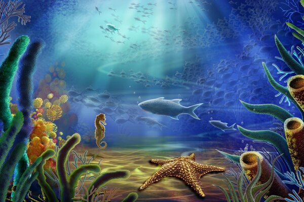 Bottom of the sea, marine life, marine reef
