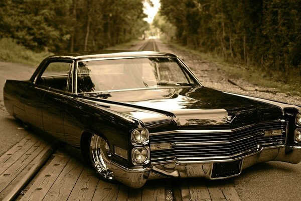 Beautiful black car on the road in the forest