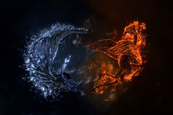 Yin and Yang in their struggle
