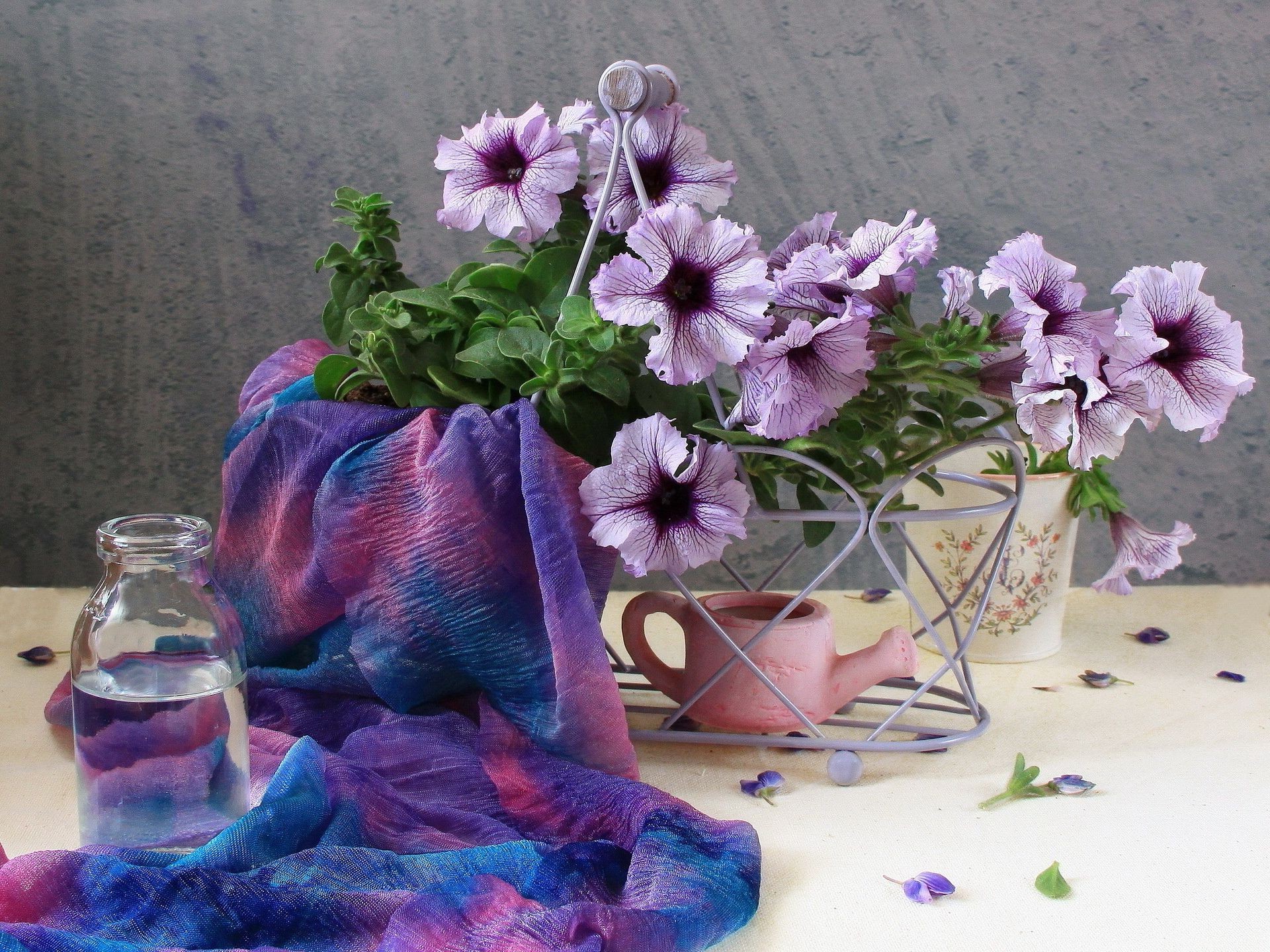 flowers flower flora decoration color still life vase leaf floral