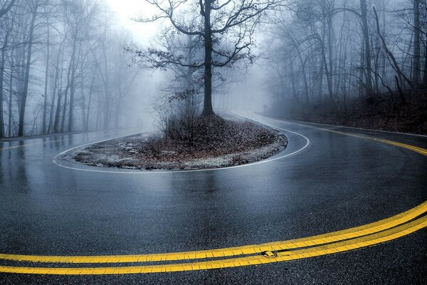 Dangerous rotation around the tree in winter