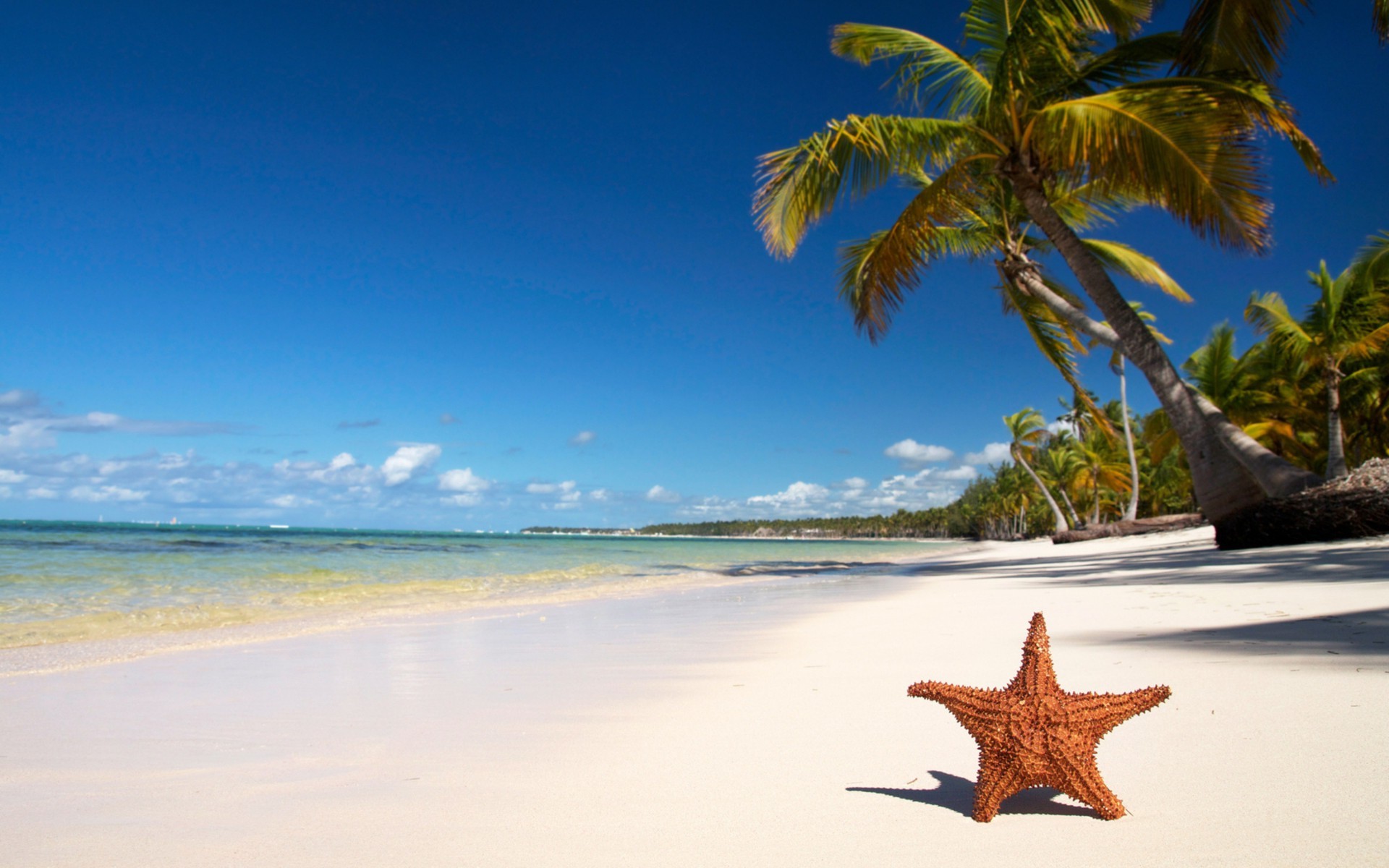 sea and ocean beach sand tropical seashore travel water summer ocean vacation idyllic island sea sun relaxation seascape paradise exotic surf resort