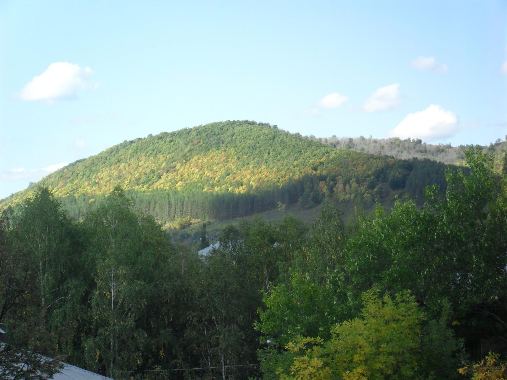 native open spaces landscape tree mountain wood nature hill travel sky environment scenic river water valley outdoors daylight park summer rock lake