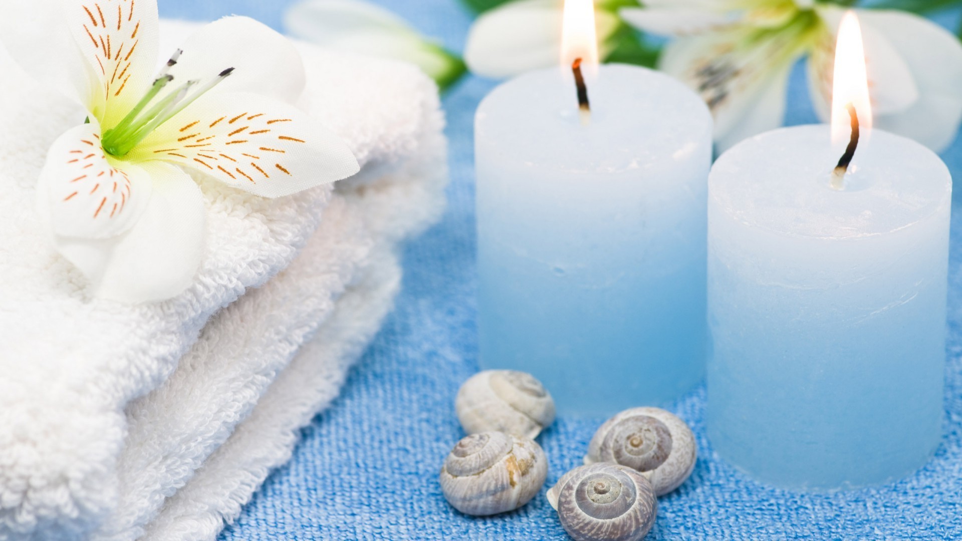 contrasts bath relaxation treatment aromatherapy therapy hygiene zen candle towel purity harmony massage bathroom soap clean nature flower care composure