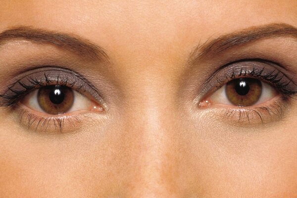 Eye to eye, open look