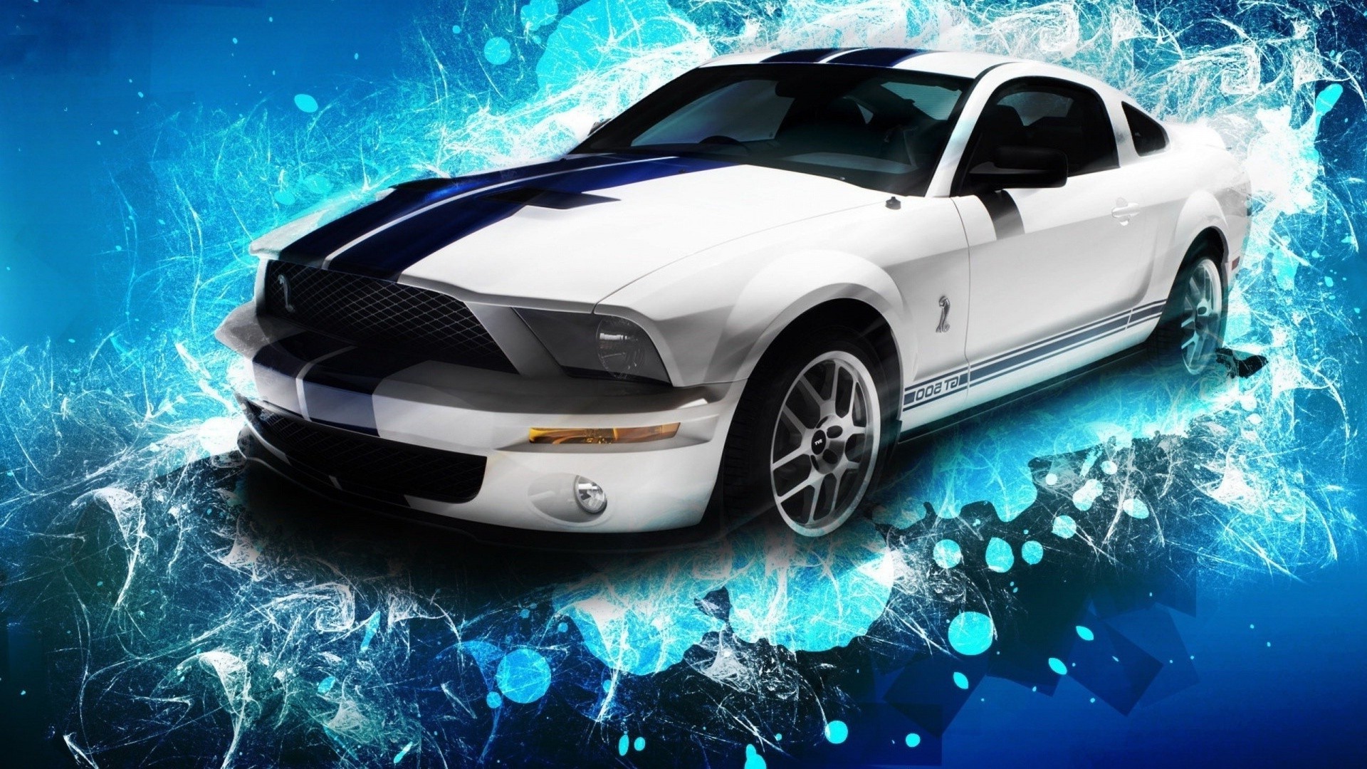 sports cars vehicle car fast transportation system automotive