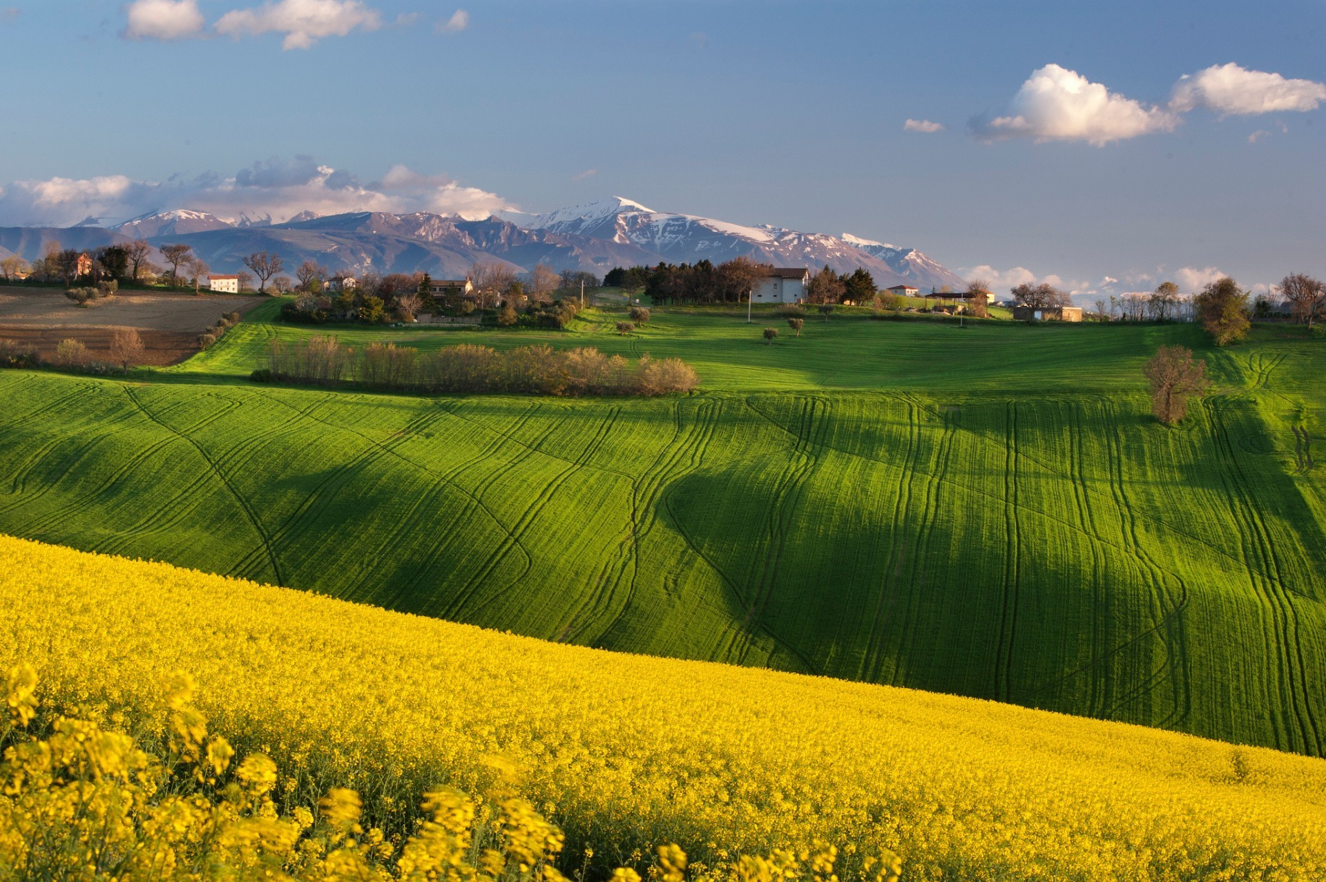 fields meadows and valleys landscape field agriculture rural nature countryside sky farm summer country grass tree crop farmland sun outdoors scenic