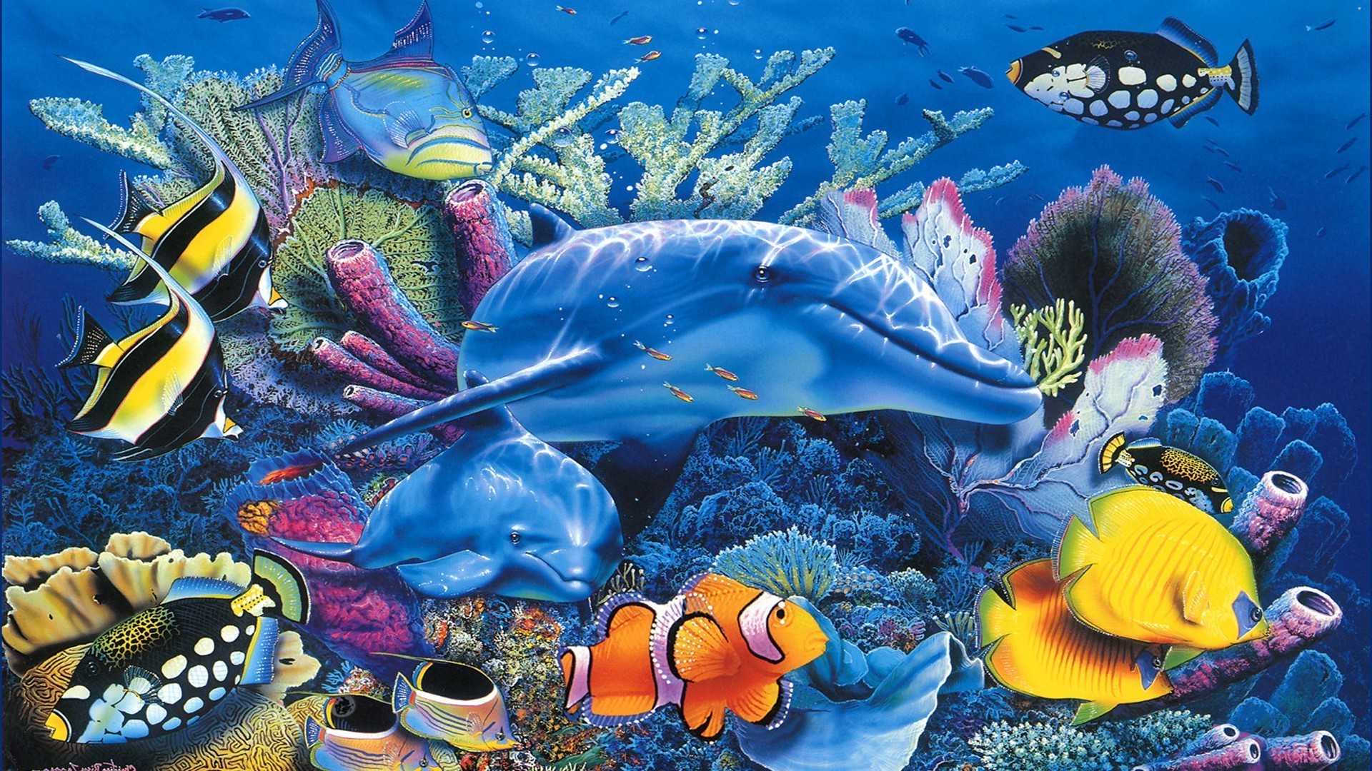 animals underwater fish coral reef ocean aquarium marine diving tropical sea water invertebrate snorkeling swimming aquatic scuba color