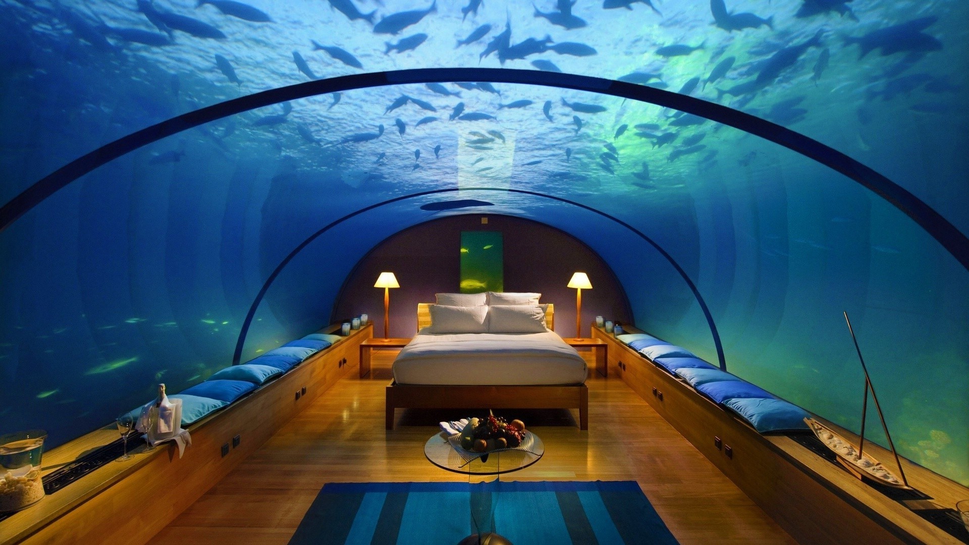 bedroom water travel underwater recreation sea outdoors leisure ocean vacation light