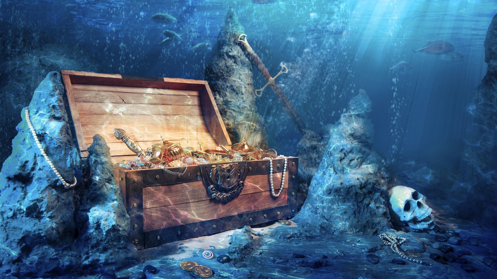marine life water underwater shipwreck fish one calamity recreation ocean vehicle travel exploration