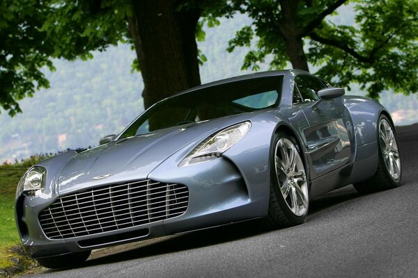 Beautiful sports car on the track