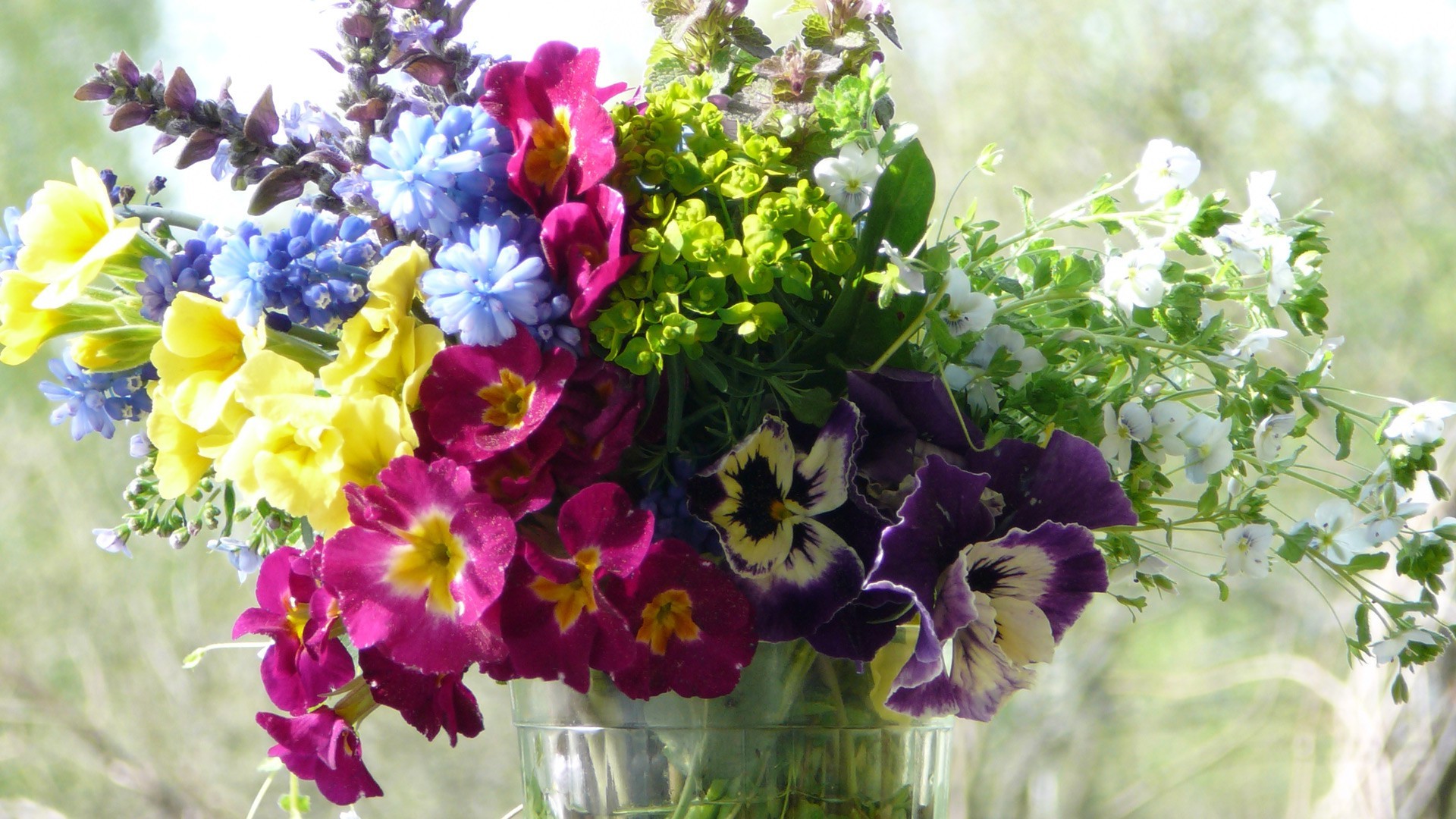 a bouquet of flowers flora nature flower garden leaf floral summer blooming growth petal violet color season bright bouquet field close-up decoration botanical