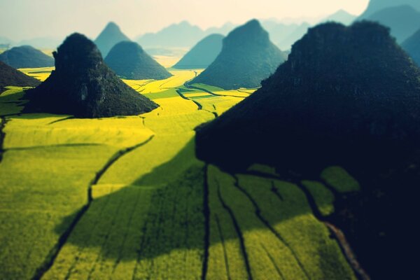 Photo of the yellow field among the mountains