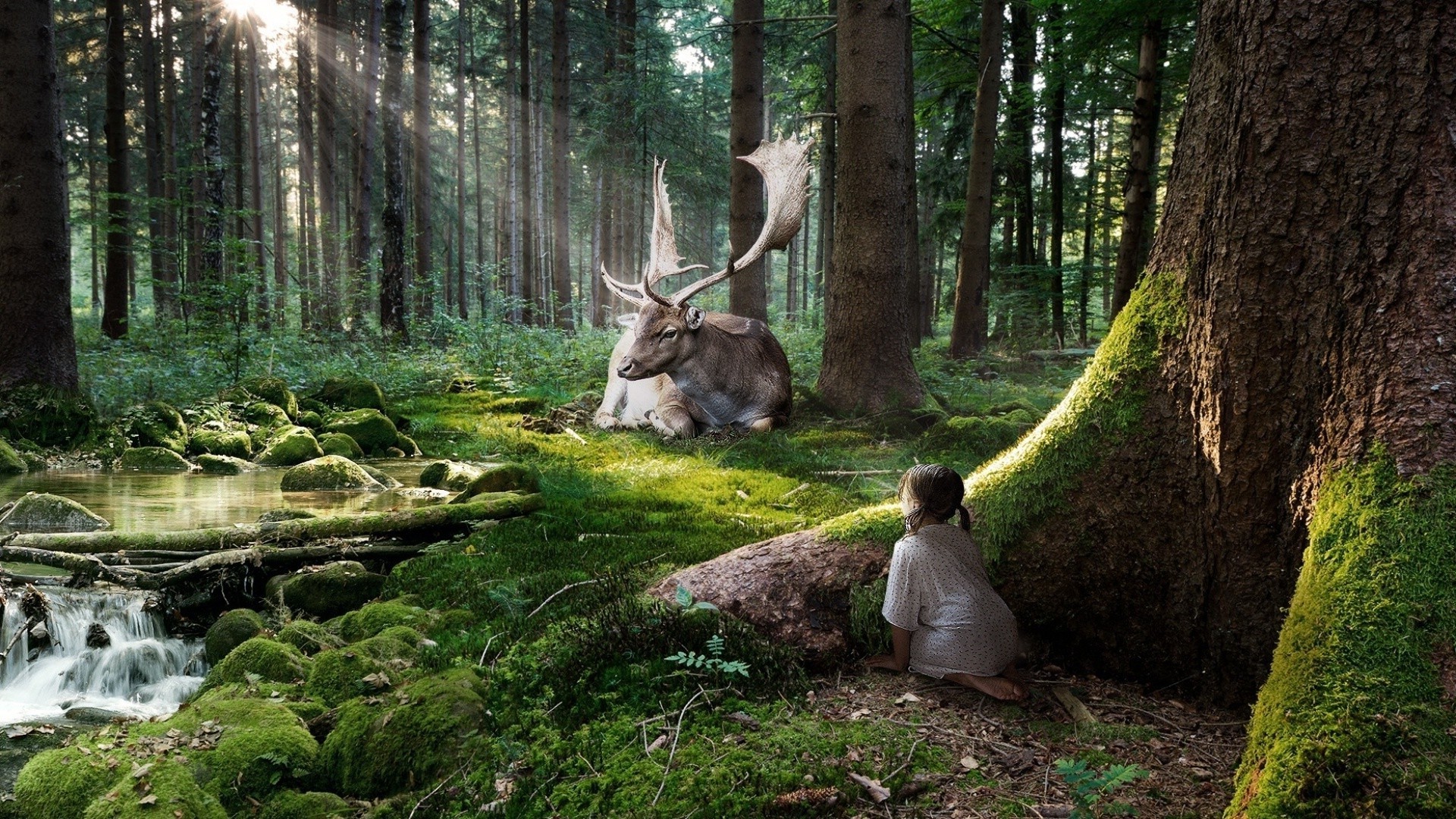 magical animals wood nature tree park outdoors wild deer leaf landscape environment fall water