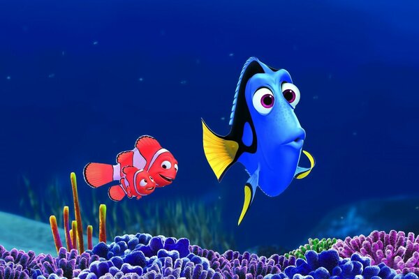Funny fish from the underwater world