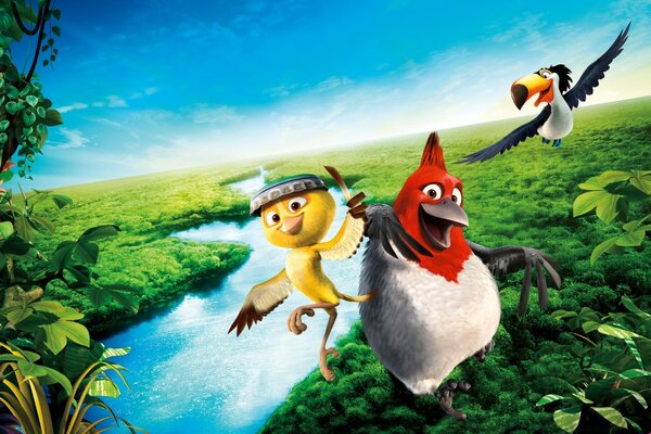 Birds from a cartoon in nature
