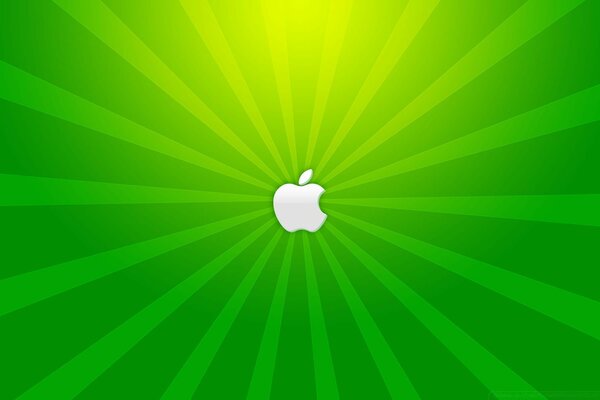 Sunburst wallpaper highlights