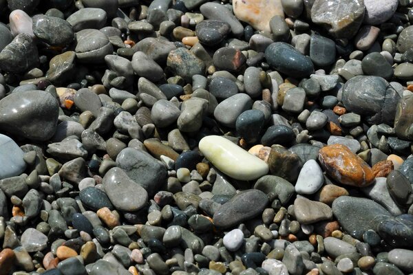 The beach of pebbles under the sun